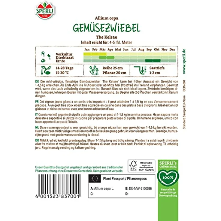 Sperli Zwiebel The Kelsae – Bild 3