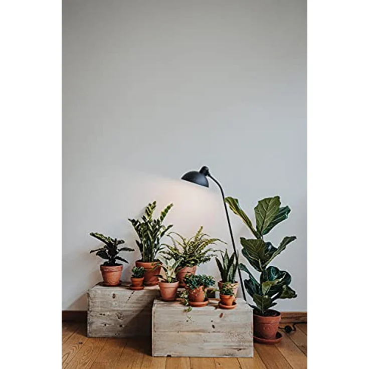 Floragard Blumenerde leicht 25 L - Universalerde für Zimmerpflanzen, Balkon- und Kübelpflanzen - mit Langzeitdünger – Bild 5