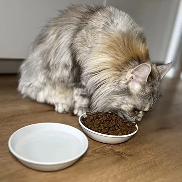 LucyBalu® Katzennapf aus Melamin | Hochwertiger Futternapf & Wassernapf für Katzen | Melamin Fressnapf & Trinknapf Katzen | Katzenfutter Melamin Napf | Katzen 2er Napfset | Weiß – Bild 2