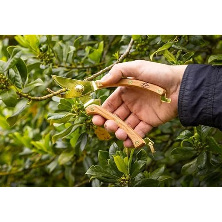 Esschert Design Gartenschere mit vergoldeten Klingen, 100 % FSC Buchenholz & Edelstahl, 0,201 kg, 1 Gartenschere - Preisvergleich – Bild 5