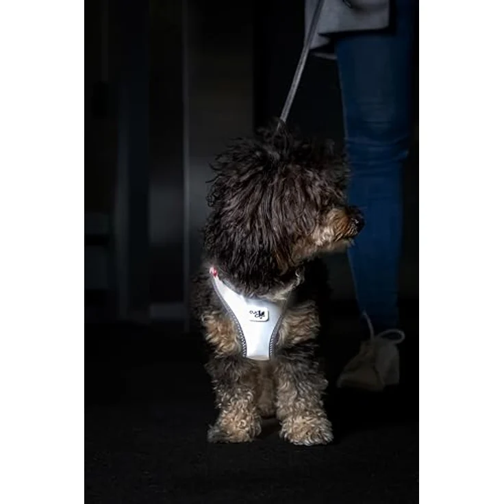 Curli Hunde-Geschirr Clasp Vest Glow Reflective Gray, Hundegeschirr mit reflektierendem Gewebe und Tailored Ergo Fit – Bild 5