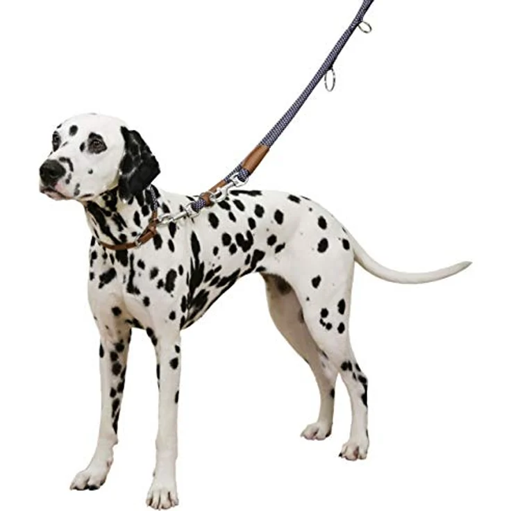 Kerbl Pet Maxi-Pet 80215 Halsband Phoenix, modisch und stabil aus Polypropylen-Nylon, blau – Bild 2