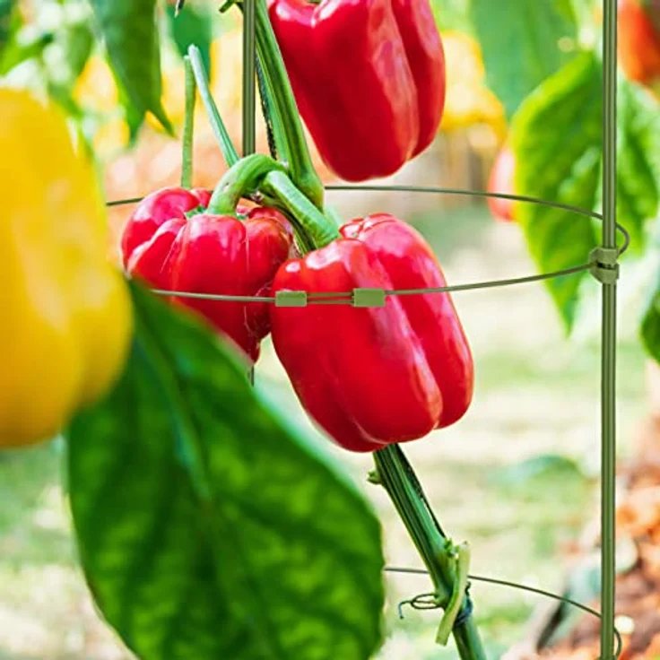 Relaxdays Rankhilfe, 5er Set, 4 Ringe, HxD: 90 x 28 cm, Blumen & Nutzpflanzen, Metall & Kunststoff, Pflanzenstütze, grün – Bild 5