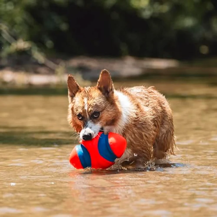 Chuckit Fumble Fetch, Outdoor-Spielzeug für Hunde, Rugby-Format 22 x 12 cm, klein – Bild 5