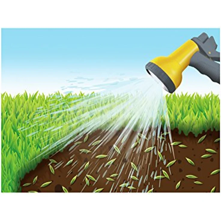 COMPO Rasen-Neuanlage-Mix, 2,2 kg für 100 qm – Bild 2