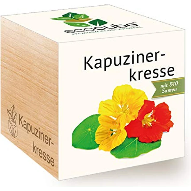 Feel Green Kapuzinerkresse, Bio Anzuchtset im Holzwürfel, Made in Austria – Bild 1
