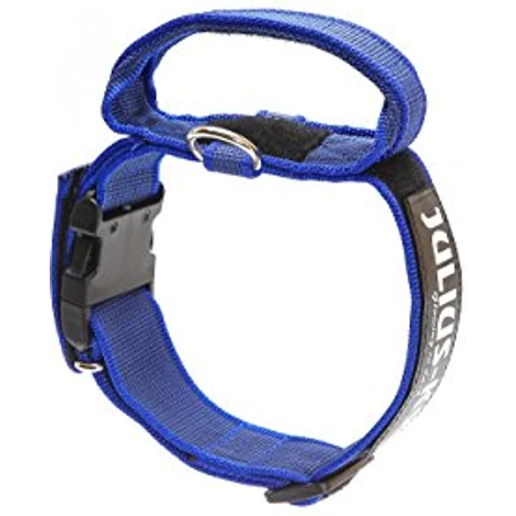 JULIUS-K9, 100HA-K-B-2015 Color & Gray K9-Halsband mit Haltegriff, Sicherheitsverschluss und Logo, 40 mm*38-53 cm, verstellbar, blau-grau – Bild 2