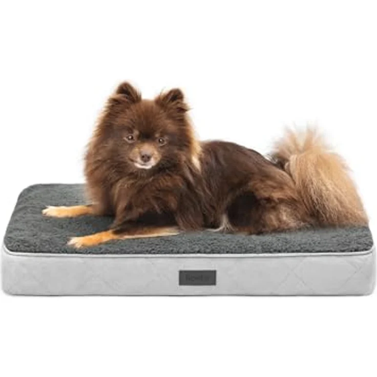 lionto Hundebett orthopädisch, Robustes Hundekissen mit weichem Plüsch, abnehmbar & waschbar, wasserabweisend, grau, 60x40x8 cm – Bild 1