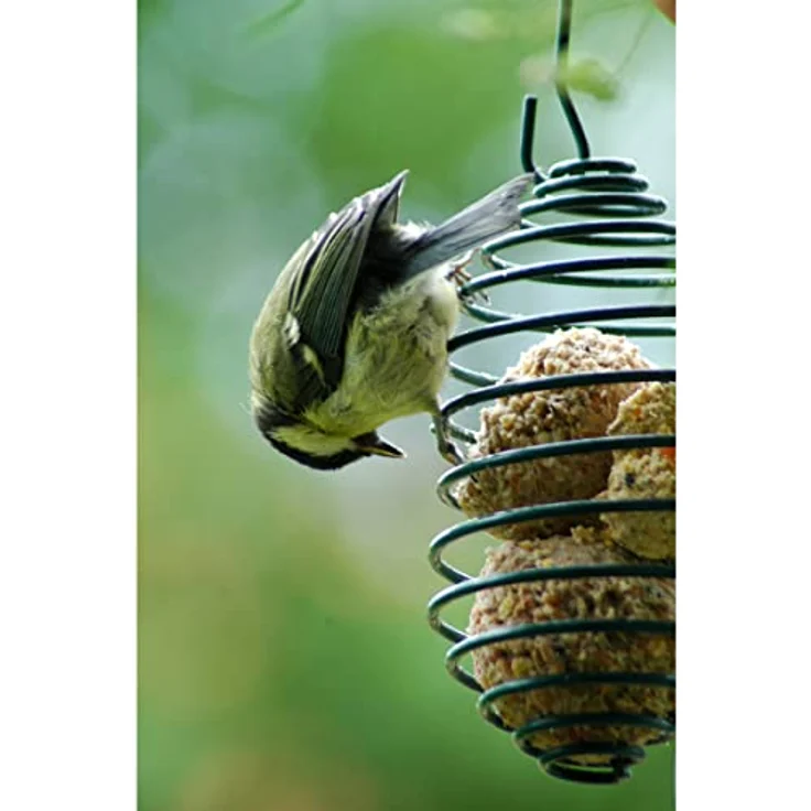 dobar® 11050 Meisenknödelhalter - Futterspirale für Meisenknödel - Vogelfutterspender aus Metall - Futtersäule für Wildvögel für Garten/Terrasse/Balkon - Ø 7,5 x 11 (26,5) cm - Grün – Bild 4