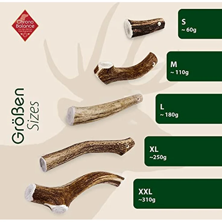 ChronoBalance® XL (5er Set) Hirschgeweih Hundespielzeug, Zahnpflege, Kausnack, Kauknochen - Naturbelassen, ohne Zusätze – Bild 5