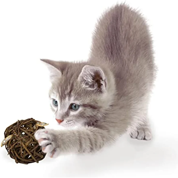 JR FARM Cat Nature-Ball Fisch, Tierspielzeug mit getrocknetem Fischfüllung, 15 g, natürlich und Made in Germany – Bild 3