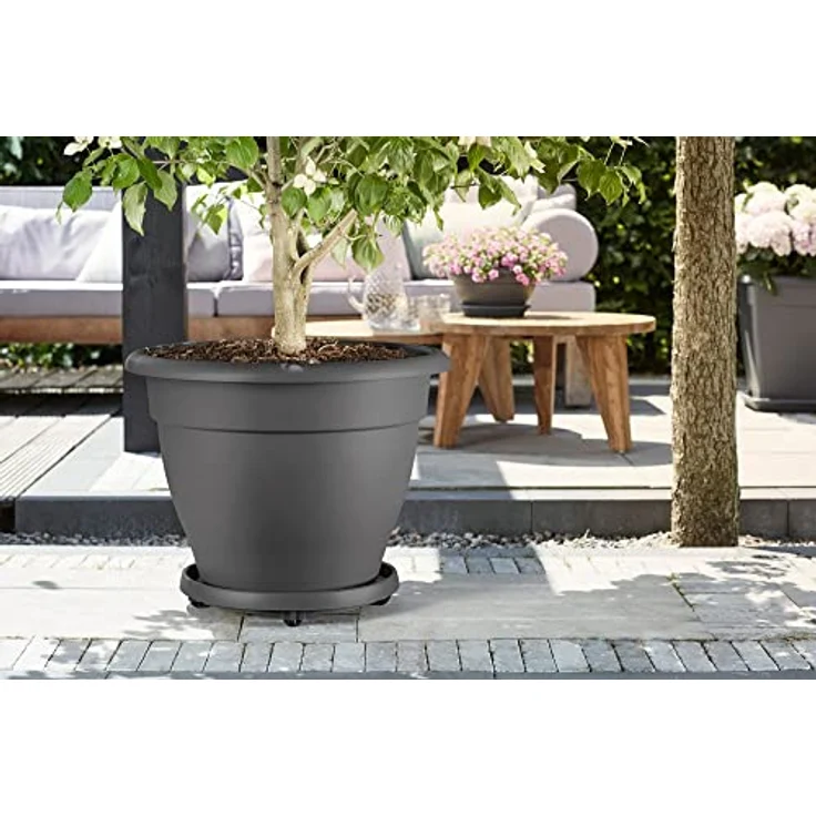 Elho Universal Planttaxi, Anthrazit, 29,3 x H 5 cm – Bild 7