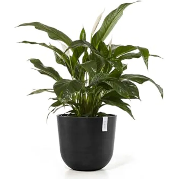 Ecopots Decolines 45 cm Ø Schwarze Kunststoff-Blumentöpfe | Wetterfeste Blumentöpfe für den Außenbereich, geeignet als Balkon- und Terrassentöpfe | Aus recyceltem Kunststoff, designed für 10 Jahre Nutzung