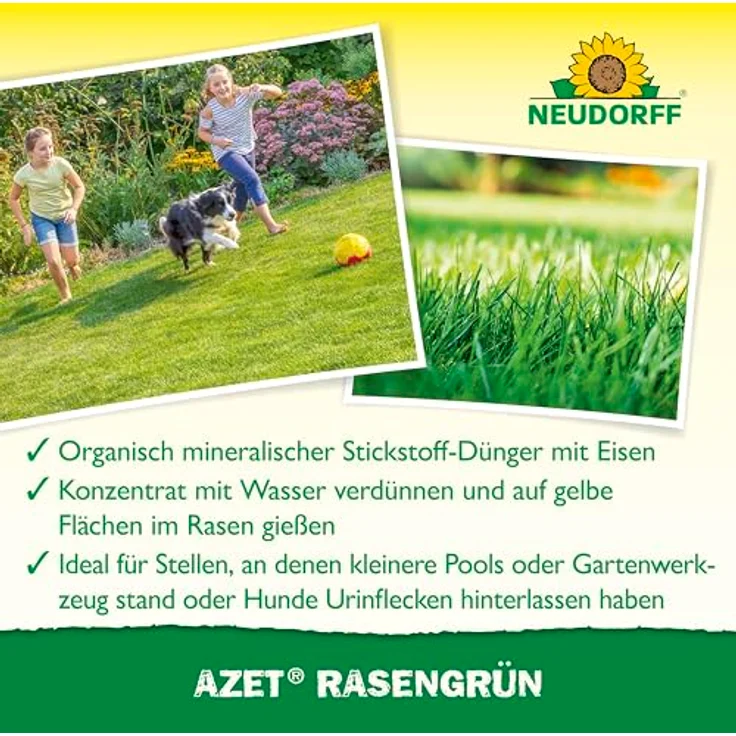 Neudorff Azet Rasengrün, Rasendünger zur schnellen Auffrischung gelblich verfärbter Stellen im Rasen, 250 ml – Bild 4