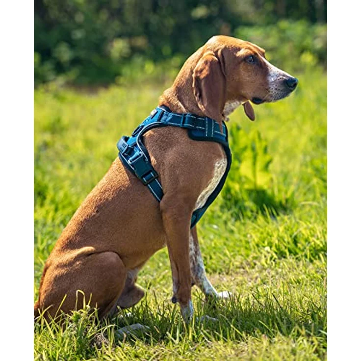 lionto Hundegeschirr gepolstert, Größe S, reflektierend, Anti Zug, blau – Bild 2