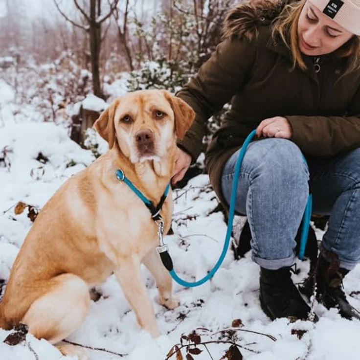 Dressurhalsung Freestyle 55 / 10, rot, – Bild 5