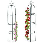 Relaxdays Rankhilfe Obelisk, 2er Set, 200 cm hoch, Ranksäule für Kletterpflanzen, Metall, freistehend, Rosenturm, grün, 200 x 41 cm