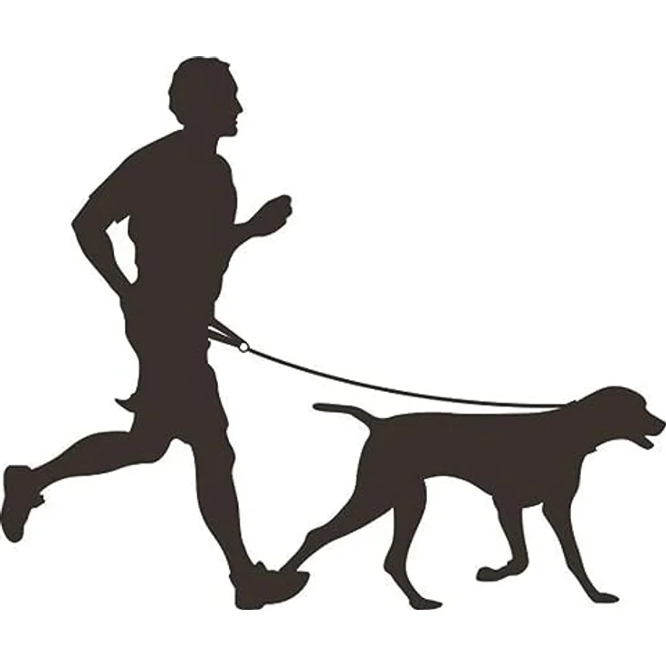 Flamingo JOGGINGLEINE + HÜFTGURT CANICROSS SCHWARZ Leine 125CM/GURT 80-125CM aus Nylon – Bild 2