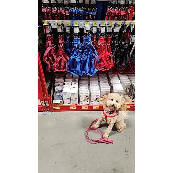 Flamingo Ziggi, Hundeleine 130cm aus strapazierfähigem Nylon, rosa, 20mm – Bild 4