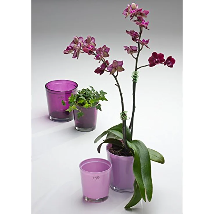 Sandra Rich Orchideentopf Orchid, violett konisch, 11 cm hoch, Ø 10 cm – Bild 2