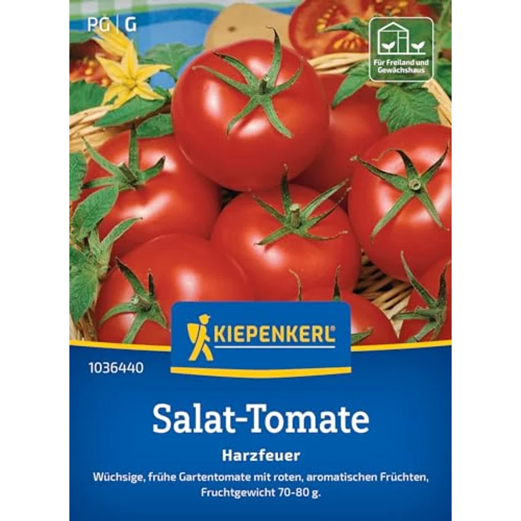 Kiepenkerl Profi-Line Tomaten Harzfeuer F1-Hybride, rote Salat-Tomate mit intensivem Aroma, resistent gegen Krankheiten, für Freiland und Gewächshaus – Bild 1