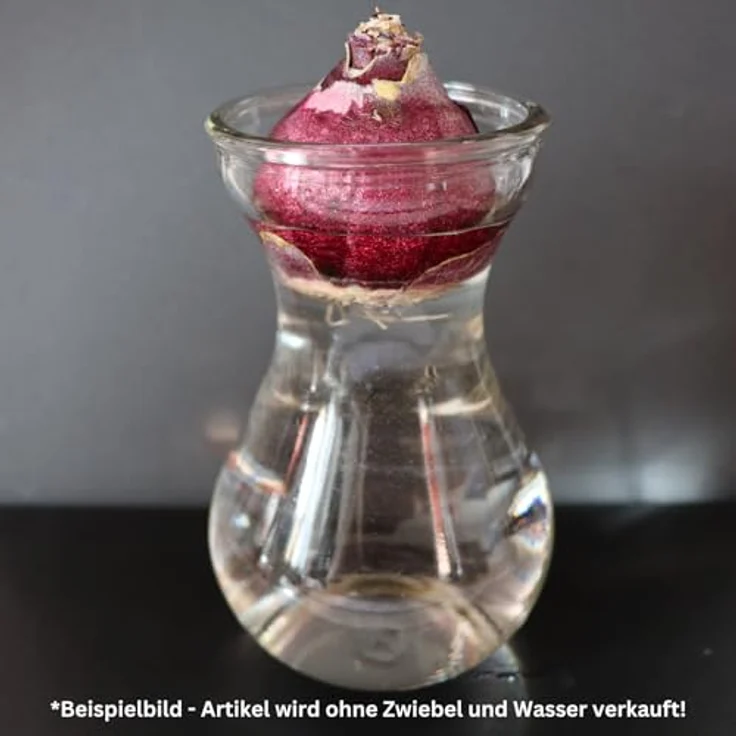 Hyazinthengläser (3 Stück), Ideal für präparierte Hyazinthen – Bild 5