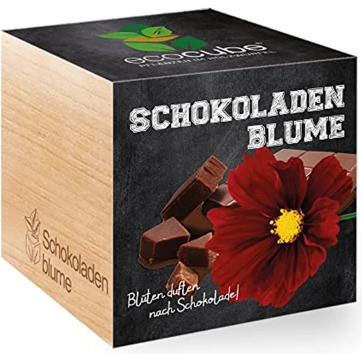 Feel Green Ecocube Schokoladenblume 296251, Nachhaltiges Anzuchtset mit Blüten, die Nach Schokolade duften, 100% Eco Friendly, Pflanzen im Holzwürfel, Made in Austria