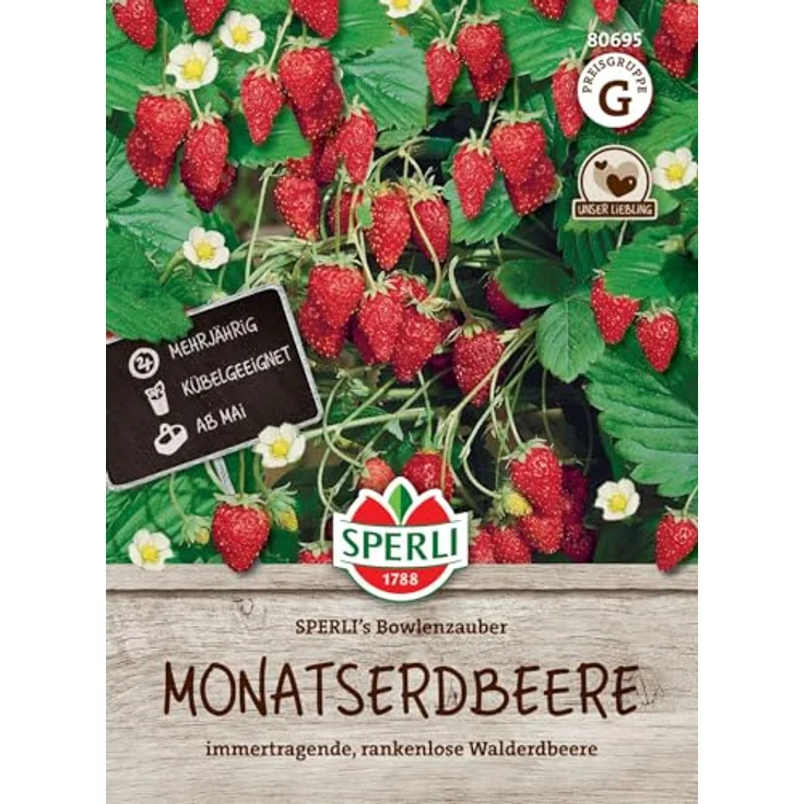 Sperli Monatserdbeeren Bowlenzauber – Bild 2