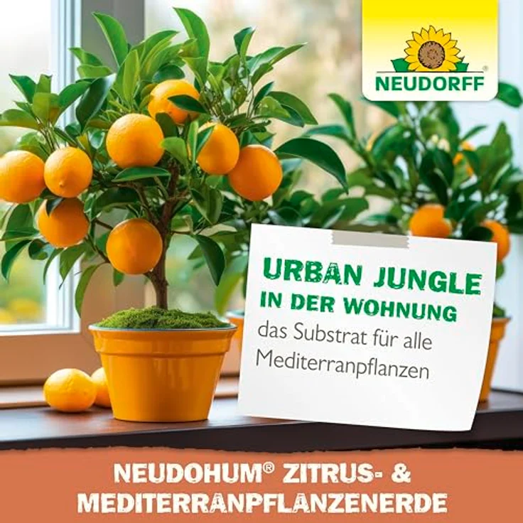 Neudorff NeudoHum Mediterranpflanzenerde, torffreies Pflanzsubstrat für Zitrus- und Kübelpflanzen, 20 l – Bild 7
