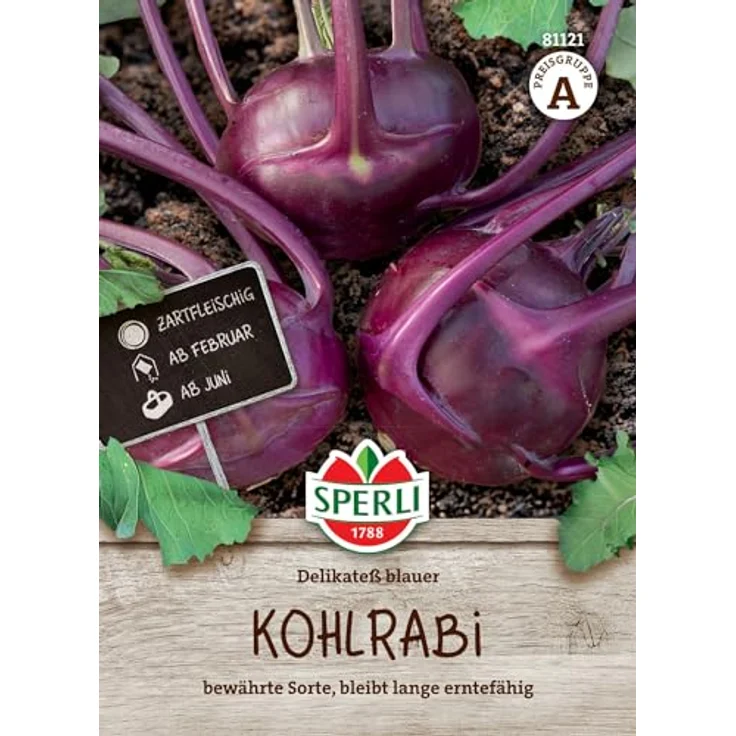 Sperli Kohlrabi Delikateß blauer – Bild 2