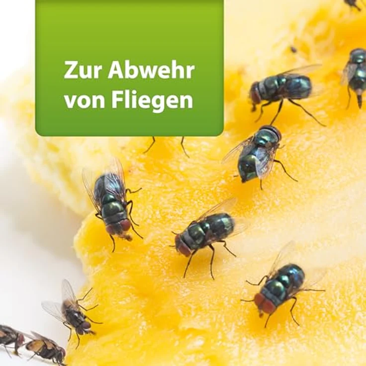 ARDAP Repell Fliegenspray 400ml - Bestes Mittel gegen Fliegen - Fliegenspray Wohnung- Insektenspray & Ungezieferspray - Schädlingsfrei - Wirkt schnell & effektiv (PT19) - ARDAP – Bild 3