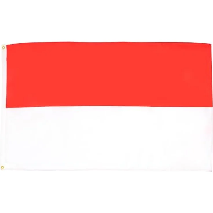 AZ FLAG Flagge Monaco, 90x60 cm, monegassische Fahne aus 100% Polyester mit Messing-Ösen, verstärkte Ecken, für Innen & Außen – Bild 1