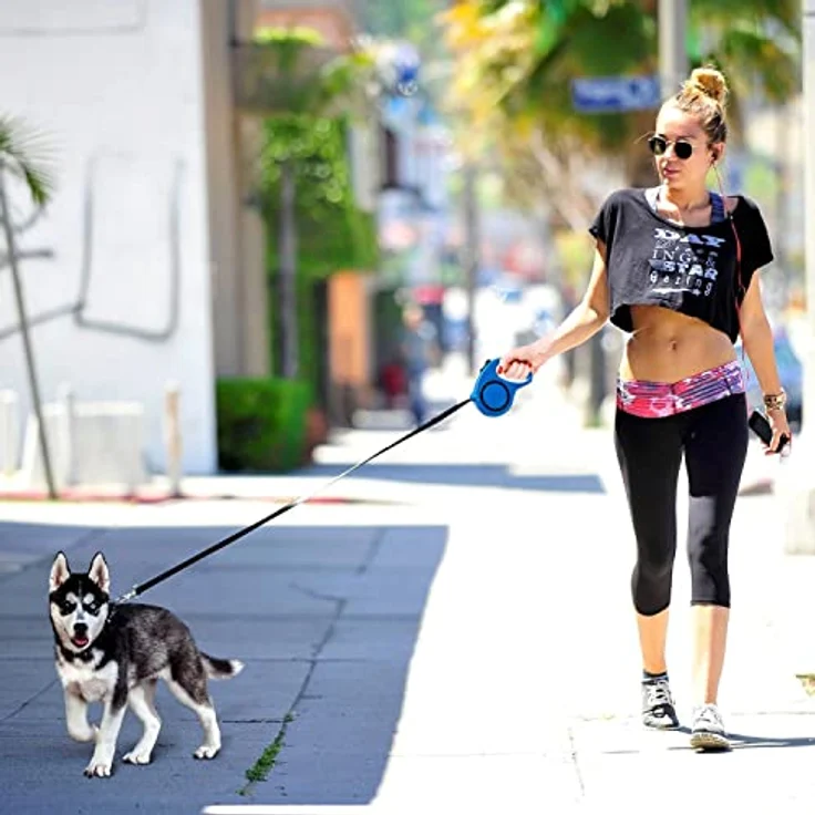 Retoo Rollleine Hundeleine 3m für kleine & große Hunde, Flexibles Band für Rechts Spaziergänge, Dog Leash, Bequemen Griff, Gurt-Leine, Robuste Ausziehleine fürs Gassigehen Roll-Leine Hochwertige Leine – Bild 3