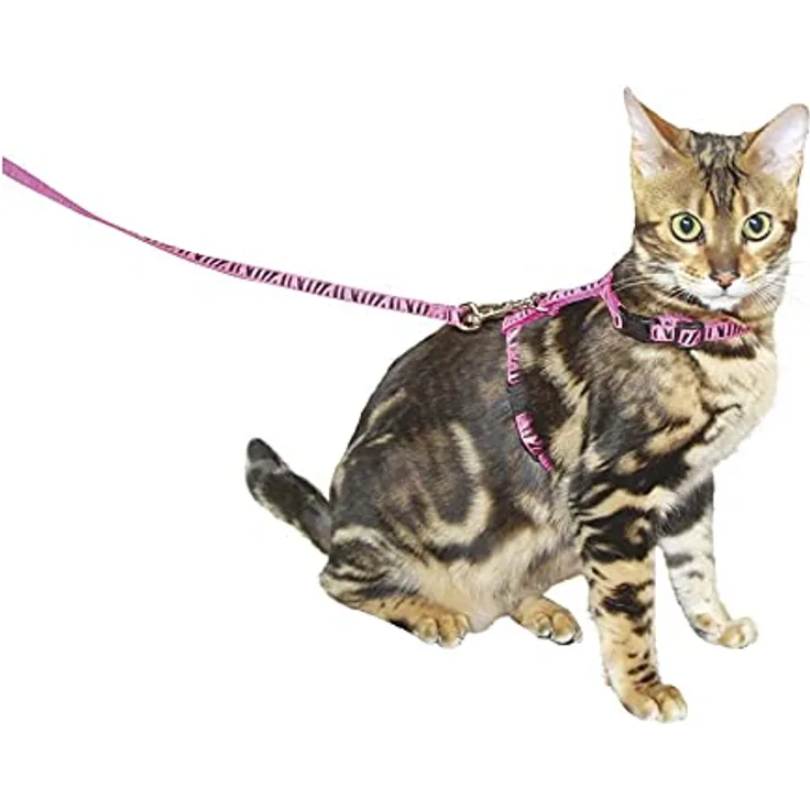 Kerbl 82668 Katzengeschirr mit Leine 120 cm x 10 mm, rosa