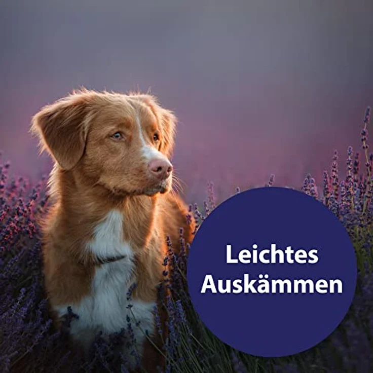 Canosept Fellpflege Spray, 250 ml, für glänzendes und entfilztes Hundefell, alkoholfrei – Bild 3