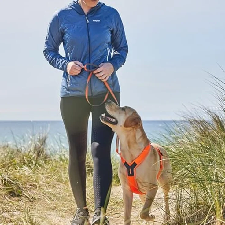 Non-stop dogwear Line Harness 5.0, Ergonomisches Führ- und Alltagsgeschirr für Hunde, Farbe: Grün, Größe: G 5 – Bild 3