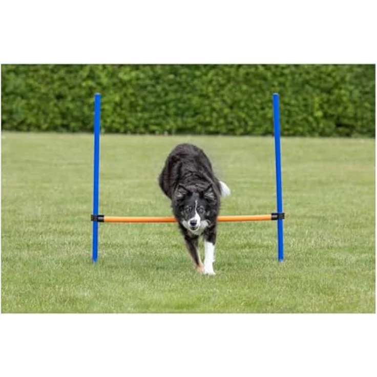 Trixie Dog Activity Agility Hürde, Kunststoff 123x115 cm ø 3 cm blau-orange – Bild 6