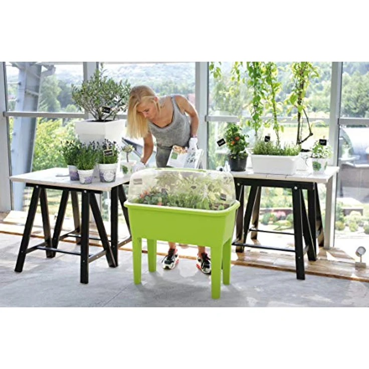 Prosperplast Garden 2 in 1 Hochbeet-Gewächshaus 77x38x82 cm, GRÜN - 52L Fassungsvermögen, transparenter Deckel, gute Belüftung – Bild 2