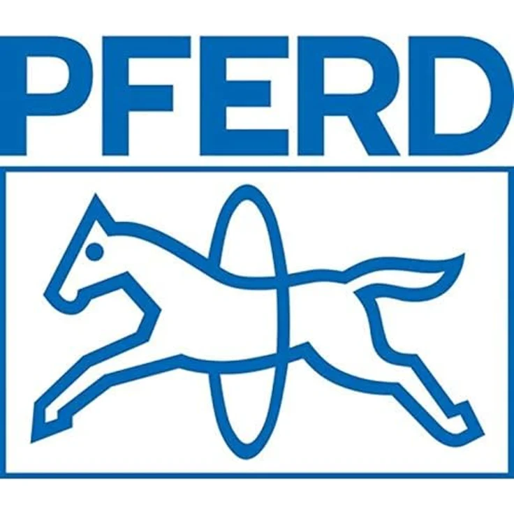 Pferd 11211158 Feilen für die Werkstatt nach DIN Dreikant Hieb 3 Werkstattfeile, Kreuzhieb H3, Länge 150mm – Bild 4