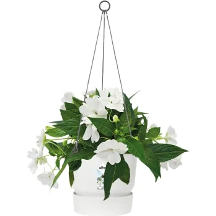 elho Greenville Hängeampel 24 - Blumentopf Hängend - Pflanzentopf für Balkon & Außen - 100% recyceltem Plastik - Ø 23.5 x H 20.5 cm - Weiß/Weiss – Bild 3