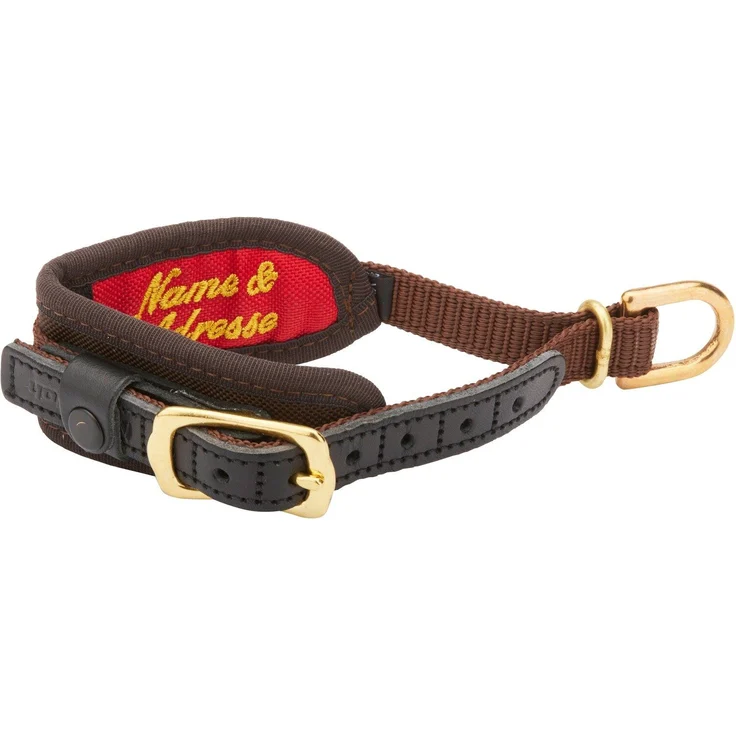 Niggeloh Hunde-Halsband Halsung Deluxe, Neoprenpolsterung, wasserabweisend, Messing-Beschläge, 4,5 cm breit