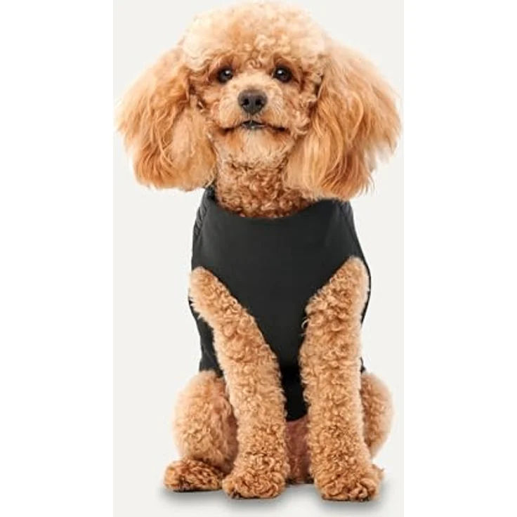 GOO EEZ Signature Jacke mit Stehkragen für Hunde, wasserdicht, Slip-on-Design, Schwarz, Größe 2XS – Bild 3