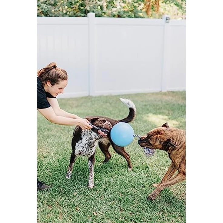 Jolly Pets toben und herum Rollen Spielzeug., Large / X-Large – Bild 3