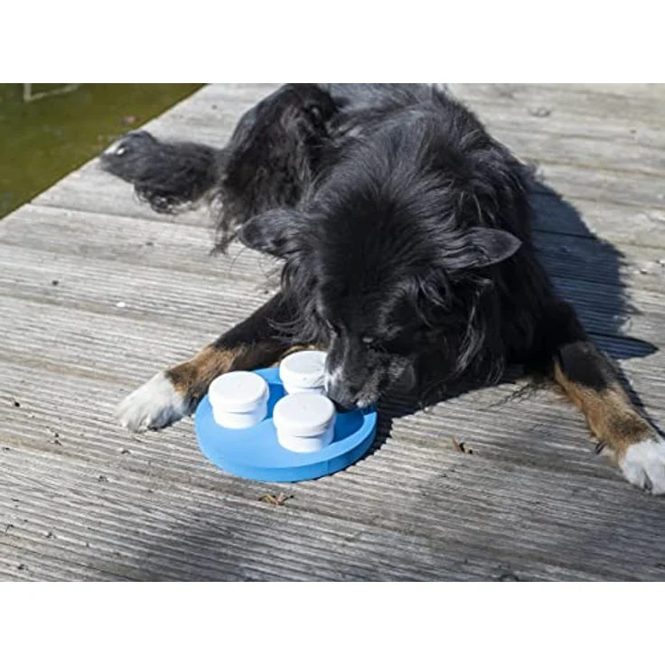 Schnüffelset für Hunde mit DREI Dosen und Klicker, Geruchssinn, Hundetraining – Bild 4