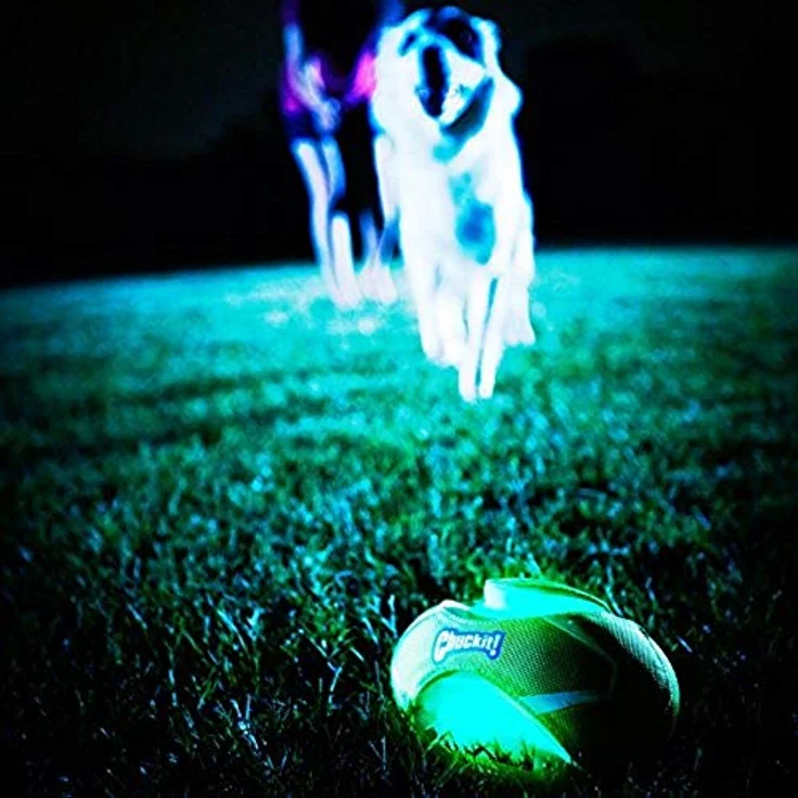 Chuckit! CH32306 Fumble Fetch Max Glow Small, Hunde-Interaktives Spielzeug mit Leuchtfunktion, Nylonoberfläche, 13 x 17,5 cm – Bild 2
