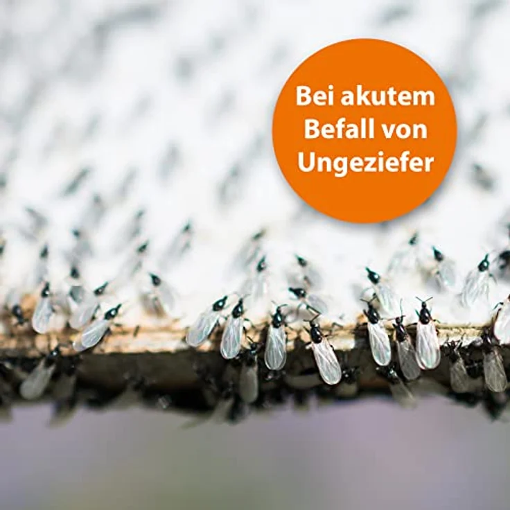 ARDAP Ungeziefer Konzentrat 500 ml - Zur Herstellung von bis zu 50 Liter Ungezieferspray gegen Fliegen, Bettwanzen, Milben, Stechfliegen, Motten, Mücken, Wespen, Silberfische – Bild 3