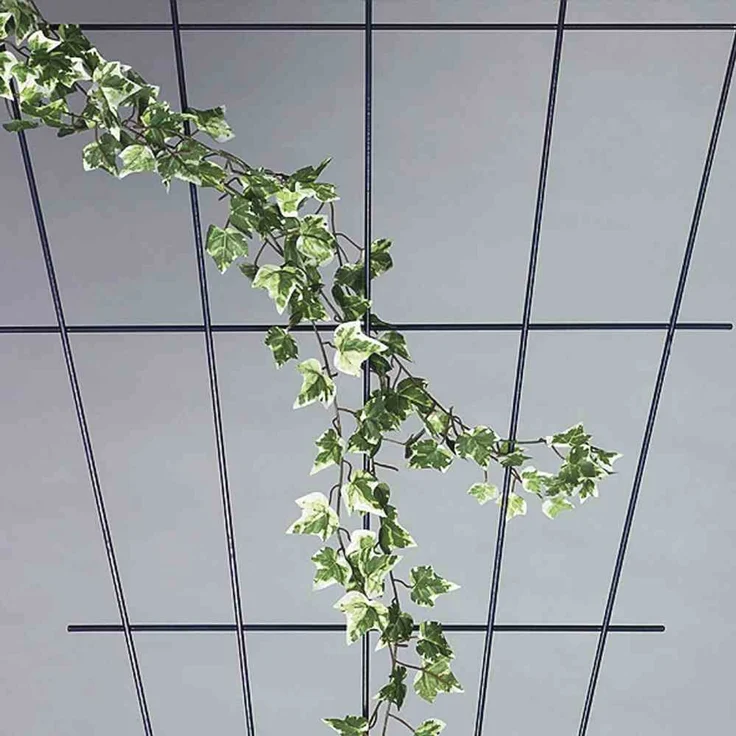 Siena Garden Rosenspalier V-Form weiß 150 x 75 cm