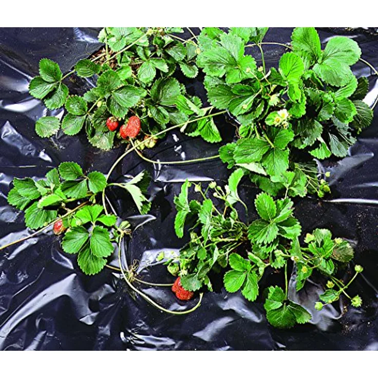 Tenax 06852 Mulchfolie schwarz 1,4 x 10 m