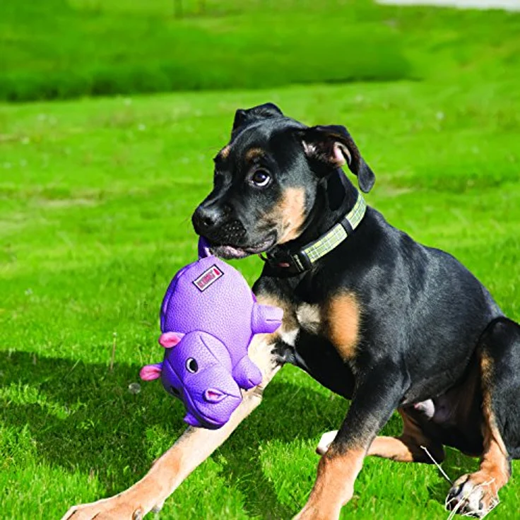 KONG – Phatz Pig – Robustes, Quietschendes Plüschtier – Für Mittelgroße Hunde – Bild 2