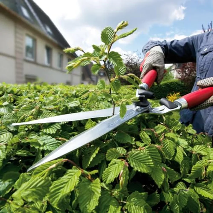 Berger Heckenschere Komfort 4590 mit Wellenschliff und Anschlagdämpfer, Länge 54 cm mittelgroß – Bild 6